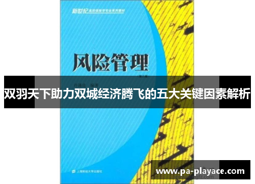 双羽天下助力双城经济腾飞的五大关键因素解析