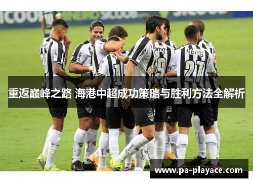 重返巅峰之路 海港中超成功策略与胜利方法全解析 重返巅峰之路 海港中超成功策略与胜利方法全解析