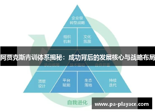 阿贾克斯青训体系揭秘：成功背后的发展核心与战略布局