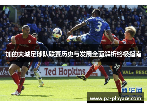 加的夫城足球队联赛历史与发展全面解析终极指南